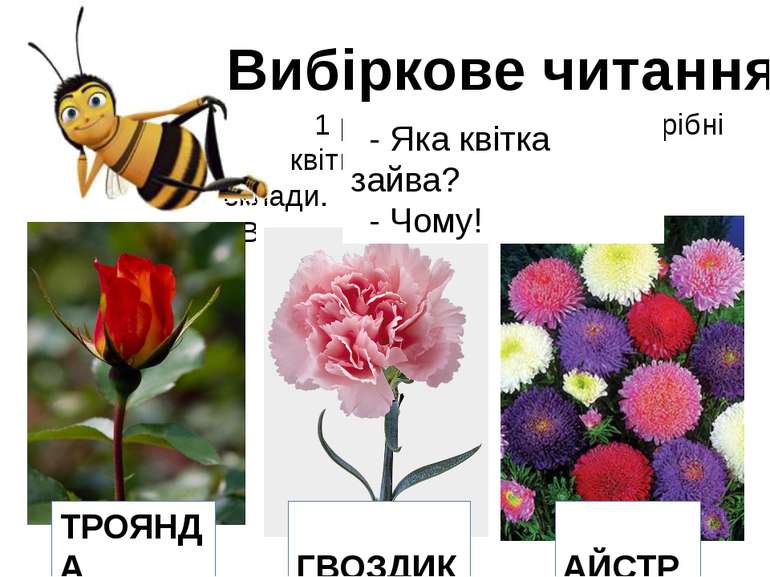 Вибіркове читання 1 ряд – для Бджілки. Потрібні квіти, назви яких мають 3 скл...