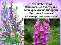 НАПЕРСТЯНКА Наперстянка пурпурова - Мов красуня чорноброва. Квіточки її приго...