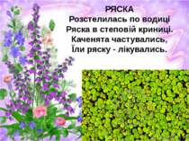 РЯСКА Розстелилась по водиці Ряска в степовій криниці. Каченята частувались, ...