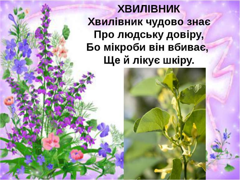 ХВИЛІВНИК Хвилівник чудово знає Про людську довіру, Бо мікроби він вбиває, Ще...