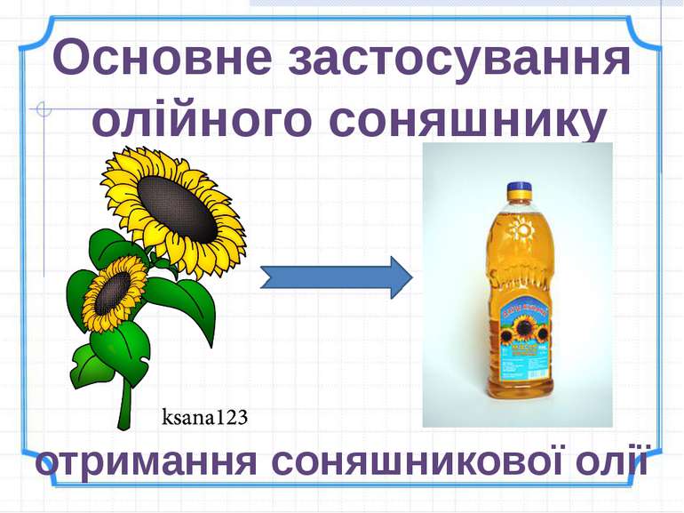 Основне застосування олійного соняшнику отримання соняшникової олії