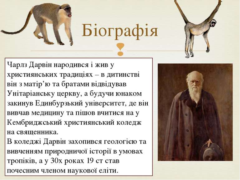 Біографія Чарлз Дарвін народився і жив у християнських традиціях – в дитинств...