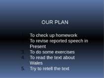 OUR PLAN To check up homework To revise reported speech in Present To do some...