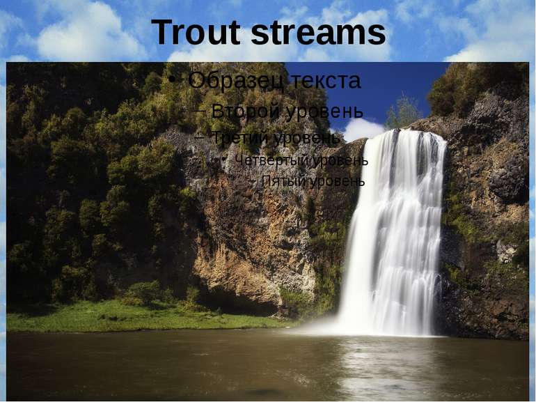 Trout streams