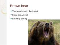 Brown bear The bear lives in the forest It is a big animal It is very strong