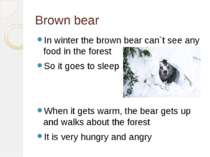 Brown bear In winter the brown bear can`t see any food in the forest So it go...