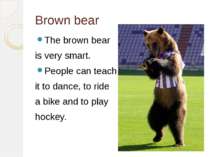 Brown bear The brown bear is very smart. People can teach it to dance, to rid...