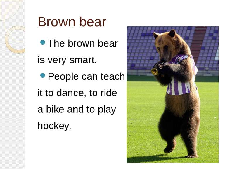 Brown bear The brown bear is very smart. People can teach it to dance, to rid...