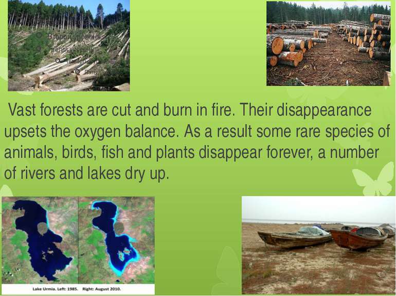 Vast forests are cut and burn in fire. Their disappearance upsets the oxygen ...