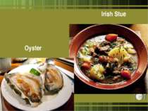 Oyster Irish Stue *
