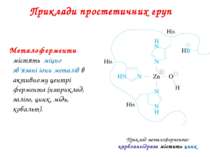 Приклади простетичних груп Металоферменти містять міцно зв’язані іони металів...