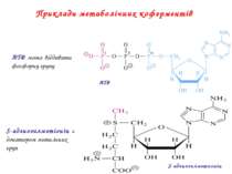 Приклади метаболічних коферментів ATФ S-аденозилметионін АТФ може віддавати ф...