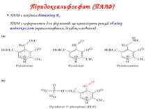 Піридоксальфосфат (ПАЛФ) ПАЛФ є похідним вітаміну B6 ПАЛФ є коферментом для ф...
