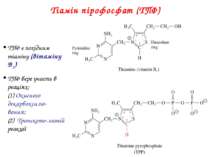 Тіамін пірофосфат (ТПФ) ТПФ є похідним тіаміну (вітаміну B1) ТПФ бере участь ...