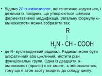 Відомо 20 -амінокислот, які генетично кодуються, і декілька їх похідних, що у...