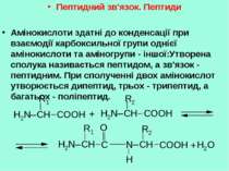 Пептидний зв'язок. Пептиди Амінокислоти здатні до конденсації при взаємодії к...