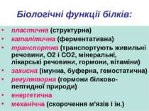 Біологічні функції білків: пластична (структурна) каталітична (ферментативна)...