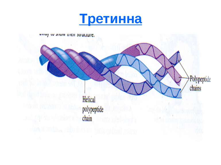 Третинна