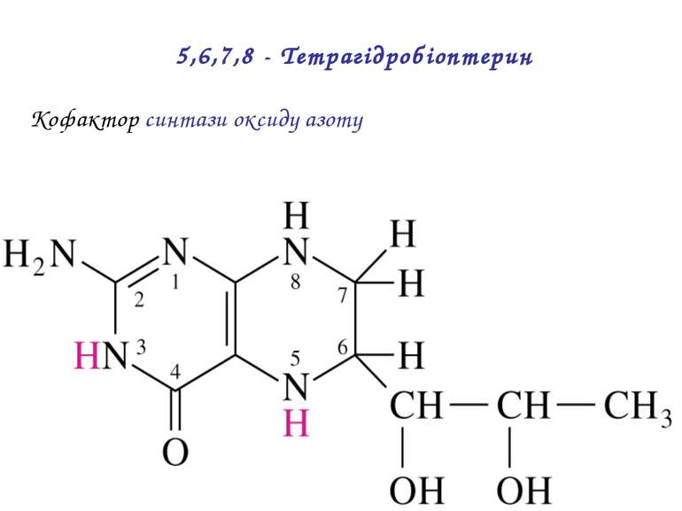 Кофактор синтази оксиду азоту 5,6,7,8 - Тетрагідробіоптерин