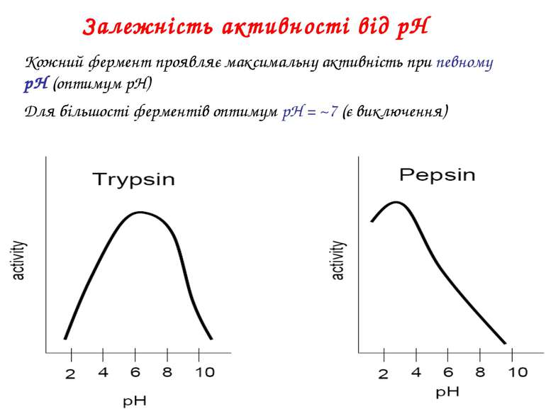 Залежність активності від рН Кожний фермент проявляє максимальну активність п...