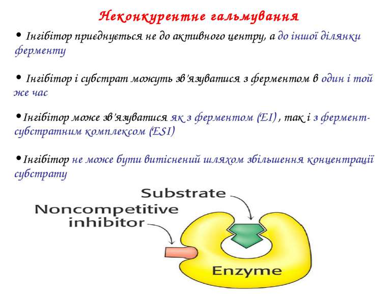 • Інгібітор приєднується не до активного центру, а до іншої ділянки ферменту ...