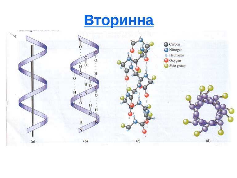 Вторинна