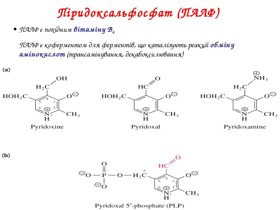Синтез кофермента. ПАЛФ формула биохимия. ПАЛФ И Памф. Витамин в6 ПАЛФ. Структура ПАЛФ.