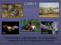 CARD 5 This animal is cold-blooded. Its temperature depends on the temperatur...