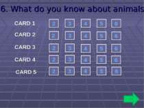 6. What do you know about animals? CARD 1 CARD 2 CARD 3 CARD 4 CARD 5