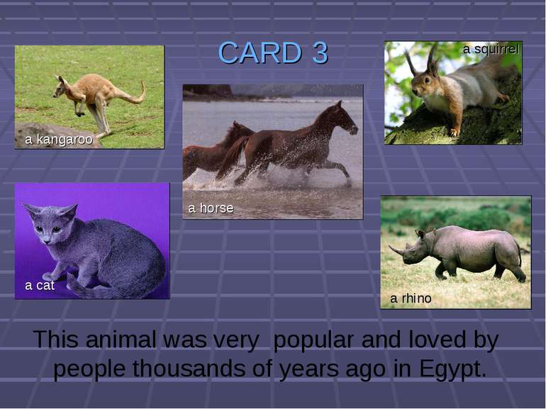 CARD 3 This animal was very popular and loved by people thousands of years ag...