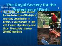 The Royal Society for the Protection of Birds The RSTB (The Royal Society for...