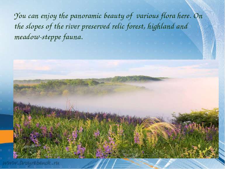 You can enjoy the panoramic beauty of various flora here. On the slopes of th...