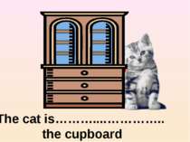 on the right of The cat is………....………….. the cupboard