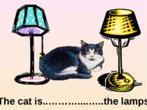 between The cat is..………....…..the lamps.