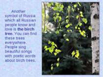 Another symbol of Russia which all Russian people know and love is the birch ...