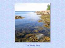 The White Sea