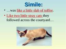 Simile: …was like a little slab of toffee. Like two little stray cats they fo...