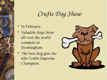 Crufts Dog Show In February. Valuable dogs from all over the world compete in...