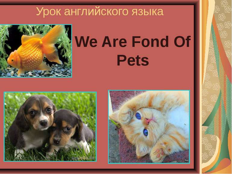 Урок английского языка We Are Fond Of Pets