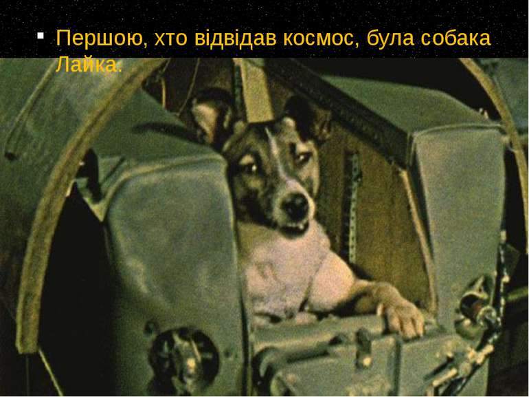 Першою, хто відвідав космос, була собака Лайка.