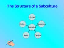 The Structure of a Subculture