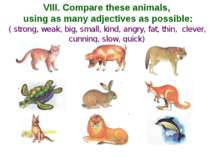 VIII. Compare these animals, using as many adjectives as possible: ( strong, ...