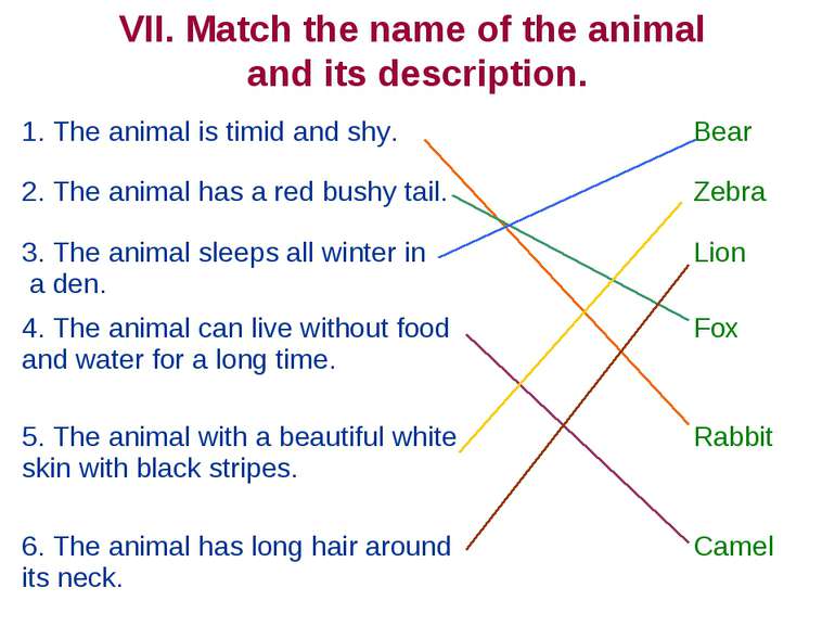 VII. Match the name of the animal and its description. 1. The animal is timid...