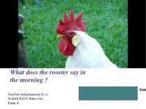 What does the rooster say in the morning ?