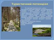 На території Казанківського району знаходяться пам’ятник природи загальнодерж...