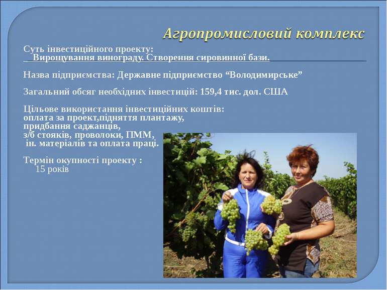 Суть інвестиційного проекту: Вирощування винограду. Створення сировинної бази...
