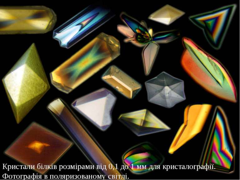 Кристали білків розмірами від 0,1 до 1 мм для кристалографії. Фотографія в по...