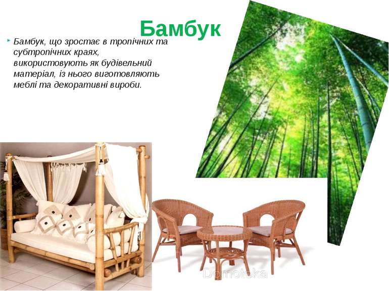 Бамбук, що зростає в тропічних та субтропічних краях, використовують як будів...