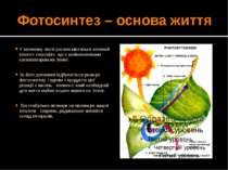 Фотосинтез – основа життя У зеленому листі рослин міститься зелений пігмент х...