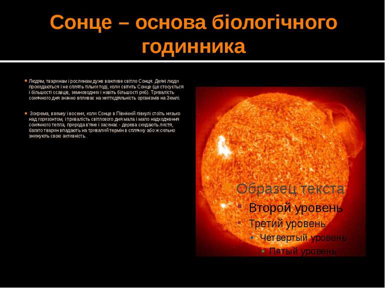 Сонце – основа біологічного годинника Людям, тваринам і рослинам дуже важливе...